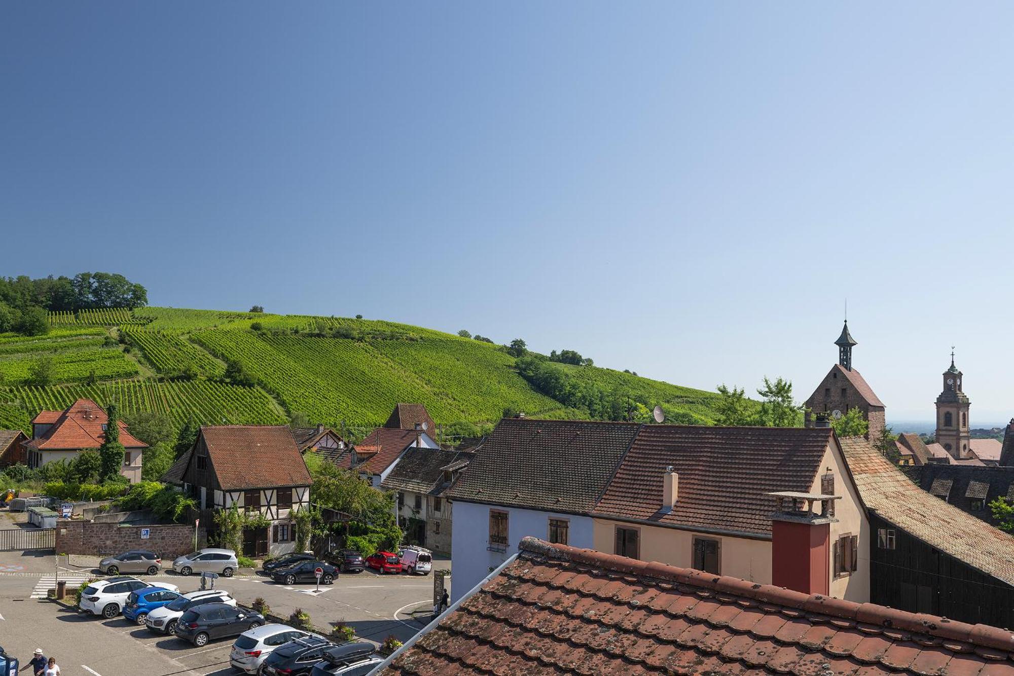 Apartamento Riesling - Vue Imprenable Sur Le Vignoble - Renove Recemment - Parking Gratuit Riquewihr Exterior foto